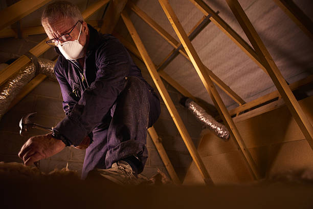 Trusted Mill Neck, NY Insulation Contractor Experts